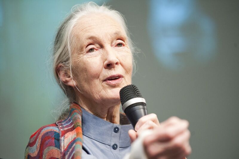 Jo-Ellyn Tucker